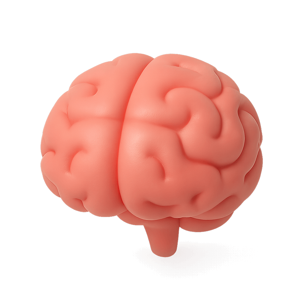 Mf brain
